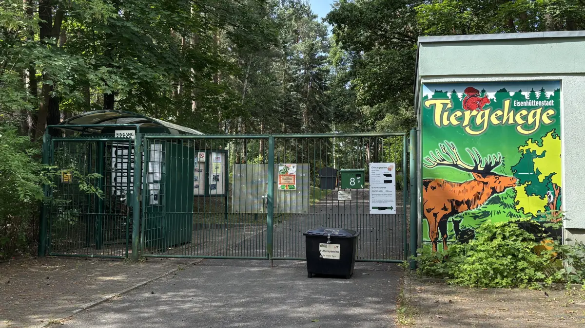 Das Tiergehege auf der Insel in Eisenhüttenstadt bekommt einen neuen Betreiber: Was ändert sich und warum muss die Stadt mehr zahlen?