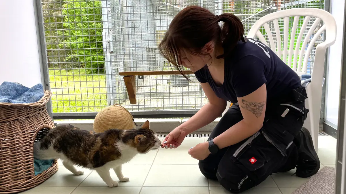 In seiner Katzenhöhle fühlt sich Kater Fussel wohl. Die angehende Tierpflegerin Celina Kirchner weiß aber auch, was ihrem Schützling besonders gut schmeckt.