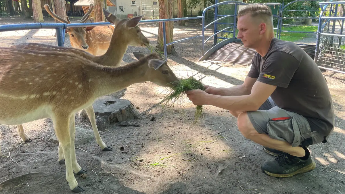 Tierpfleger Martin Wurl im Heimattiergarten von Fürstenwalde. Mensch und Tier machen die derzeit hohen Temperaturen zu schaffen. Im Tierpark gibt es viel Schatten, dort ist es gut auszuhalten.