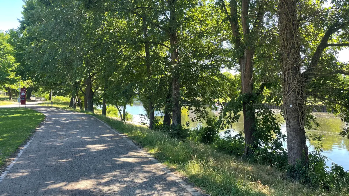 Promenade am Spreeufer in Fürstenwalde: Es gibt viel Schatten und eine Pause auf einer der Bänke bietet auch in der großen Hitze Erhohlung.