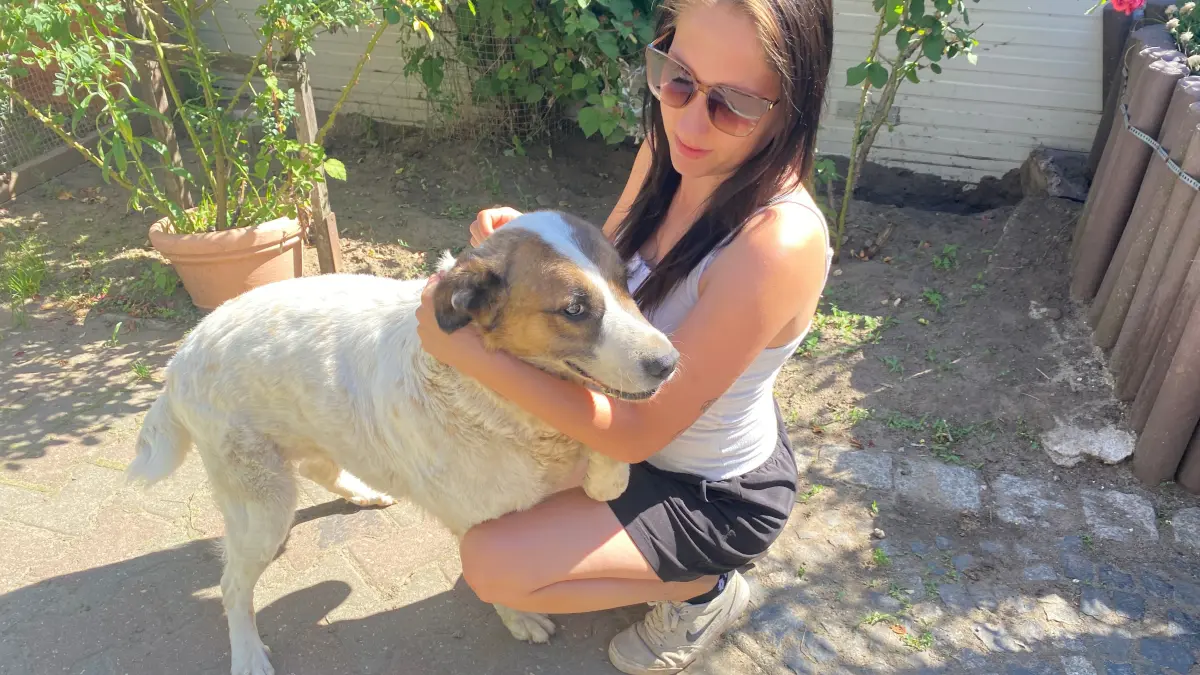 Ist nach seinen schlimmen Erlebnissen in Rumänien noch sehr aufgeregt: der sechsjährige Rüde Arlo. Es dauerte einige Minuten, bis der freundliche Hund sich zusammen mit Tierheimmitarbeiterin Sandra Hartwig so fotografieren ließ.