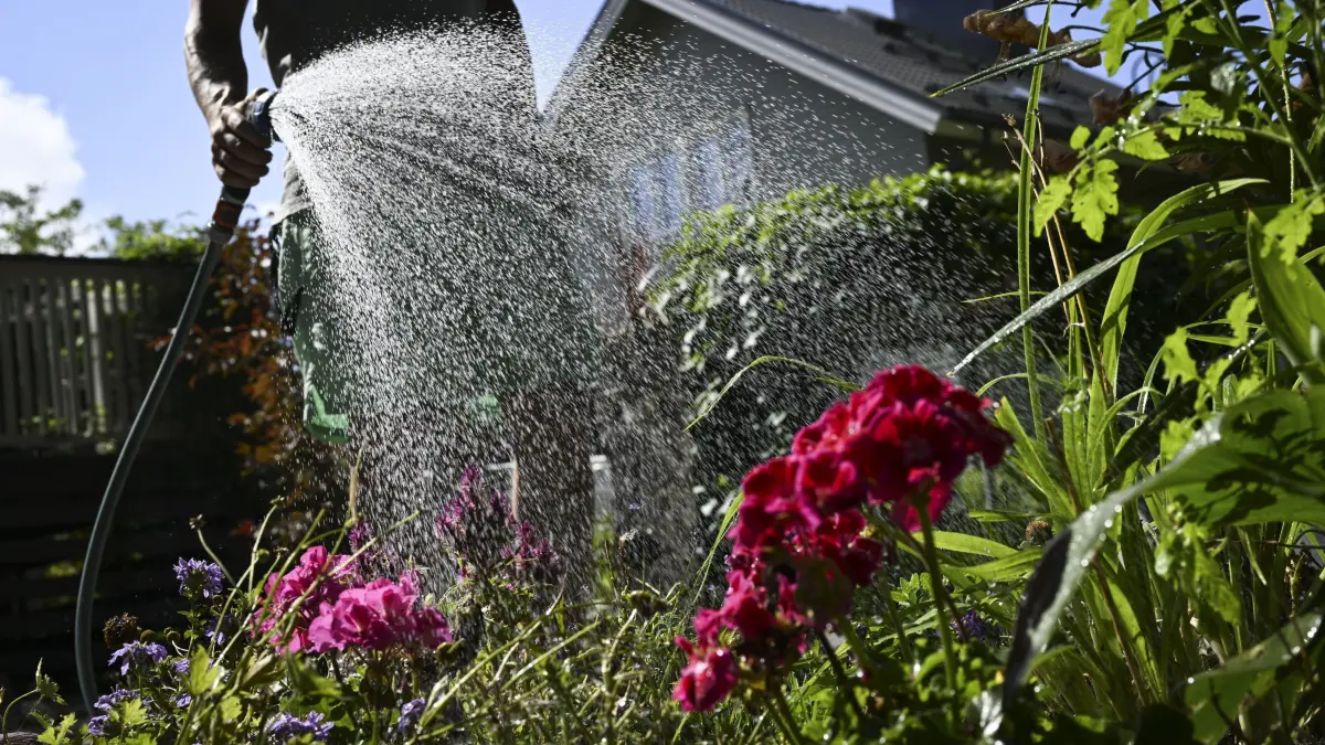 Bitte nicht so: Die Wasserverbände im Barnim appellieren an die Gartenbesitzer, die Gärten möglichst nachts zu wässern. Das geht mit der Hilfe von Bewässerungs-Computern.