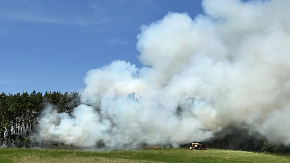 Ein Waldbrand bei Angermünde brach am 27. Juni aus. Welche Probleme die Feuerwehr bei dem Einsatz hatte.