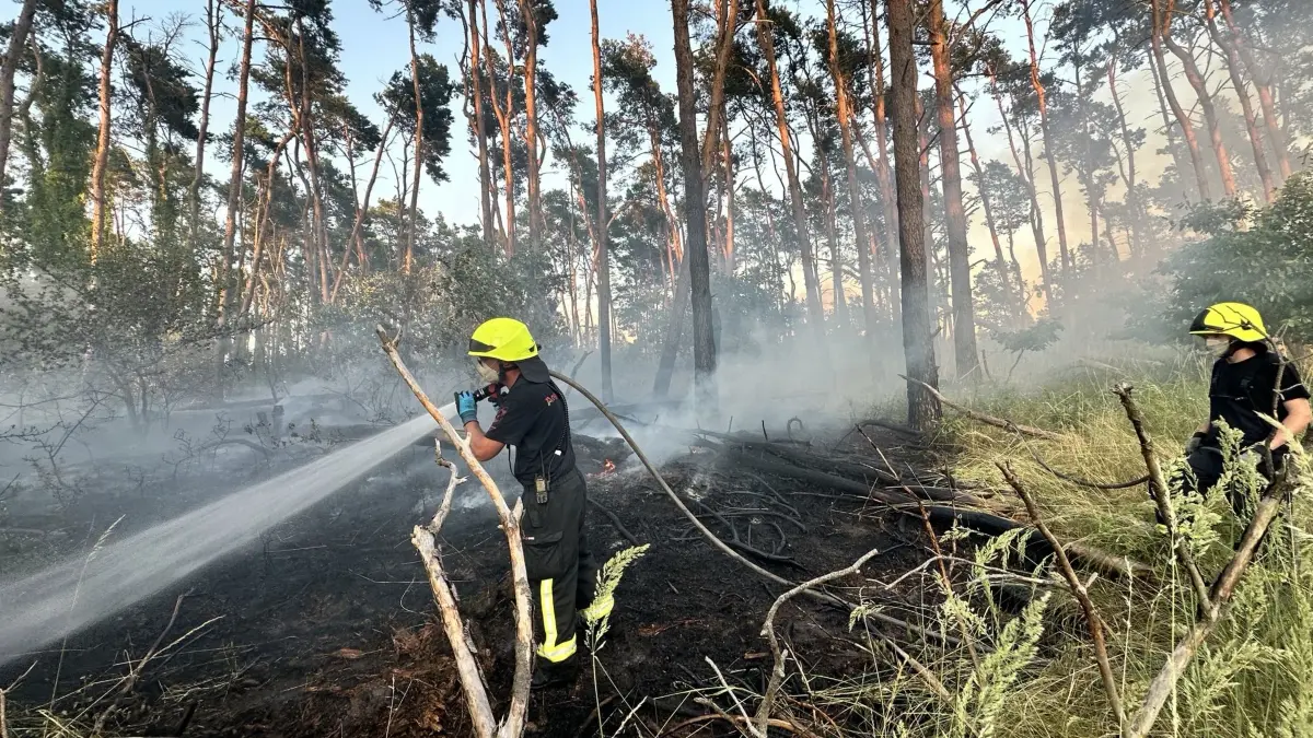Zwei Waldbrände an einem Wochenende: die Angermünder Feuerwehr rückte zu einem Brand im Ortsteil Herzsprung aus. Was ist passiert?