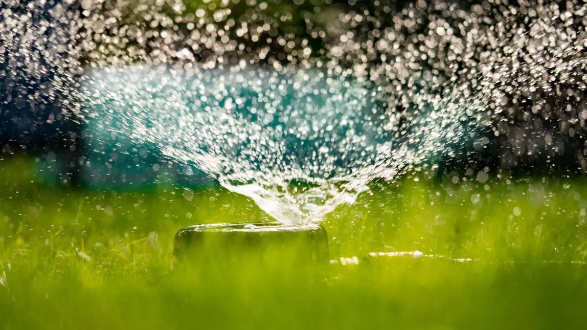 Gartenbewässerung: ARCHIV - 10.08.2020, Hessen, Frankfurt/Main: Illustration - Ein Rasen in einem Frankfurter Garten wird mit Wasser gesprengt. (zu dpa: «Zu wenig Regen: Bewässerungsverbot in Landau an der Isar») Foto: Frank Rumpenhorst/dpa +++ dpa-Bildfunk +++