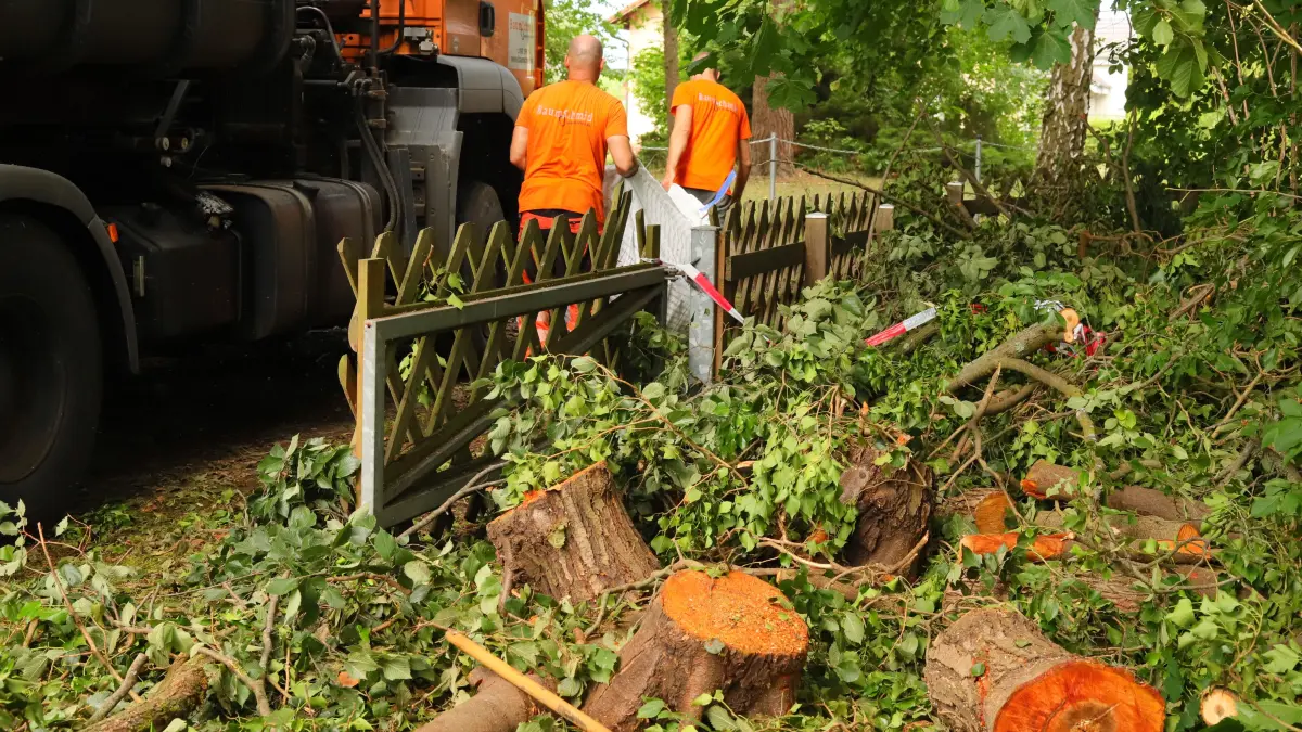 Baumpfleger von Baum-Schmid aus Berkenbrück nach dem tornadoartigen Sturm in Wendisch Rietz. Einer der Angestellten war während des Unwetters auf dem Scharmützelsee.