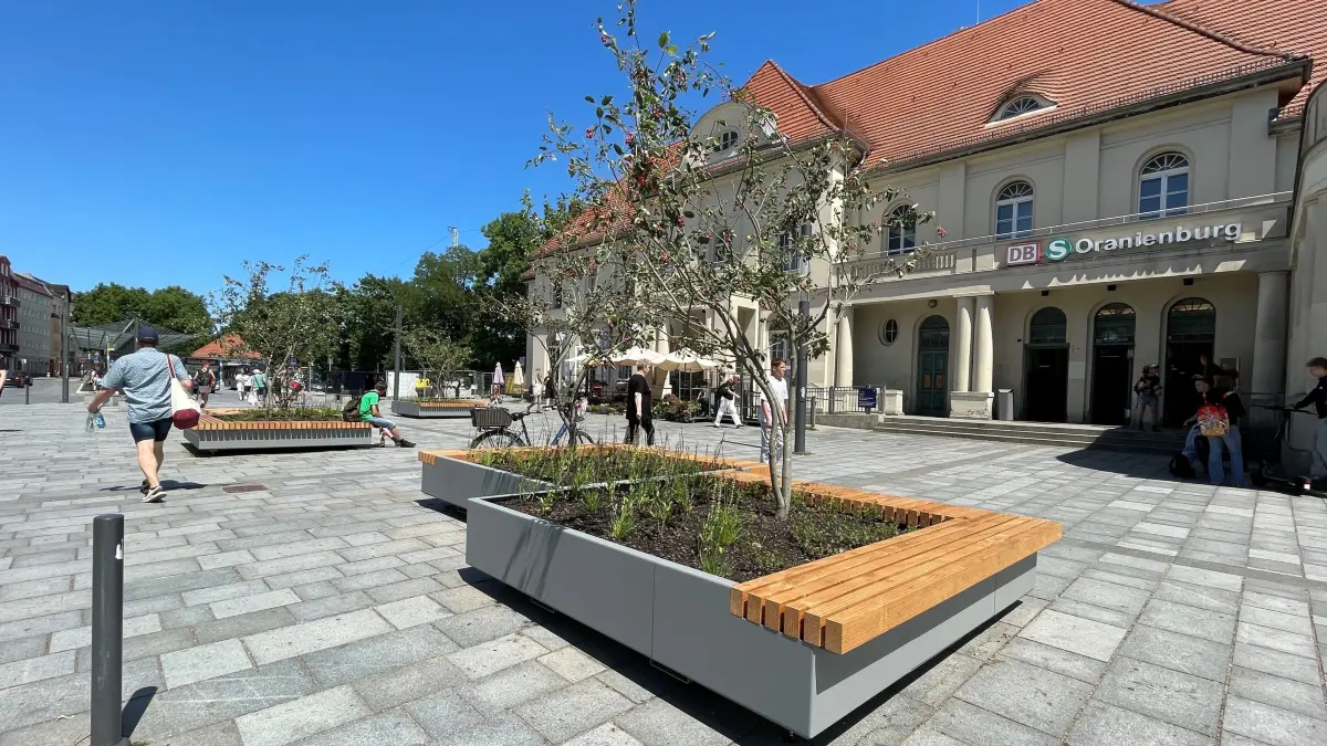 Bepflanzung am Bahnhof Oranienburg auf dem Bahnhofplatz: drei mobile Hochbeete mit Sitzmöglichkeiten und Bäumen, jeweils eine Felsenbirne und eine Zierkirsche. Bäume hängen durch, Stadt hat reklamiert und will austauschen