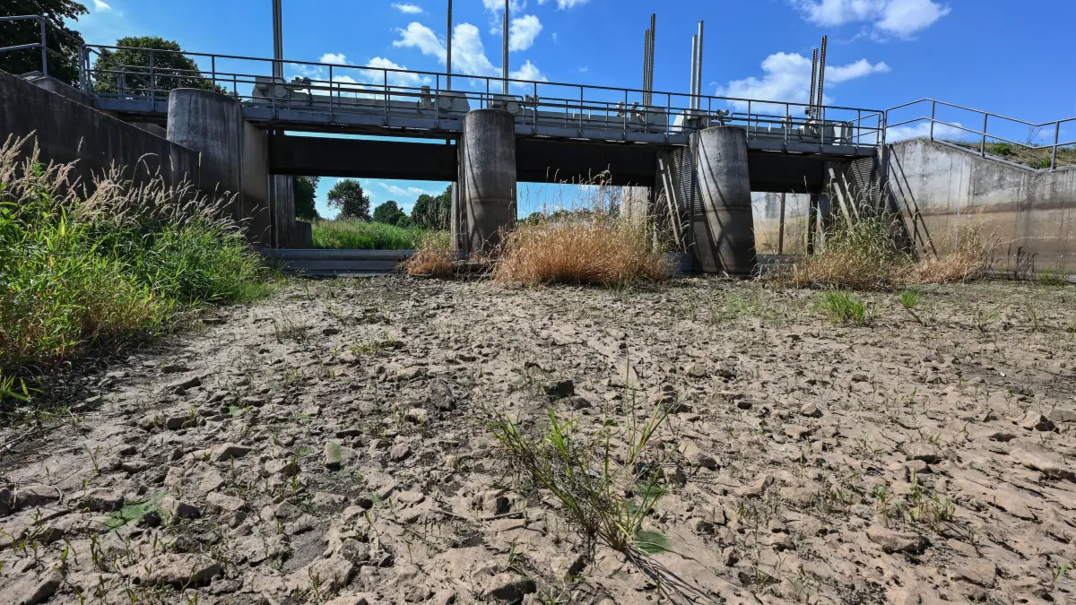 Ausgetrocknet ist ein Teilabschnitt des Flusses Schwarze Elster in Südbrandenburg. Abgesunkene Grundwasserstände, Wasserdefizite in der Natur und in der Folge auch Sorge um Versorgungsengpässe in Industrie und Landwirtschaft: Nach der extremen Trockenheit der vergangenen Jahre werden auch für Brandenburg die Herausforderungen beim Wassermanagement immer größer