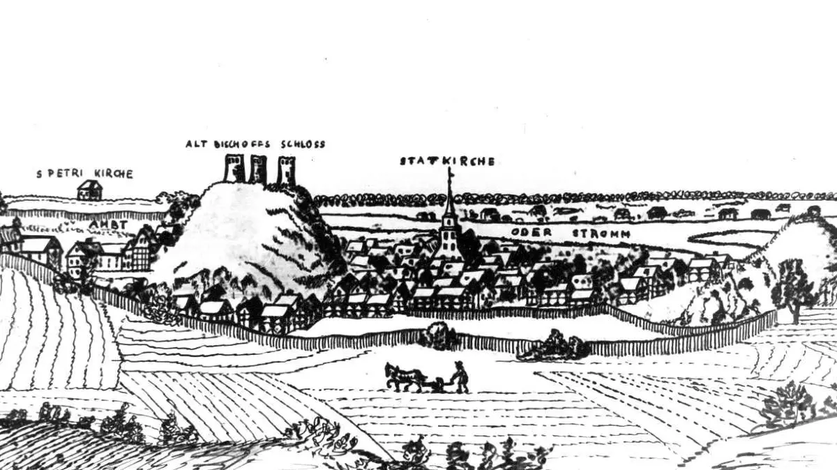 800 Jahre Lebus: Das Foto zeigt einen Ausschnitt aus der ältesten Darstellung der Stadt von Daniel Petzold aus dem Jahr 1710. Die Reproduktion stammt aus der Sammlung von Ortschronist Manfred Hunger.