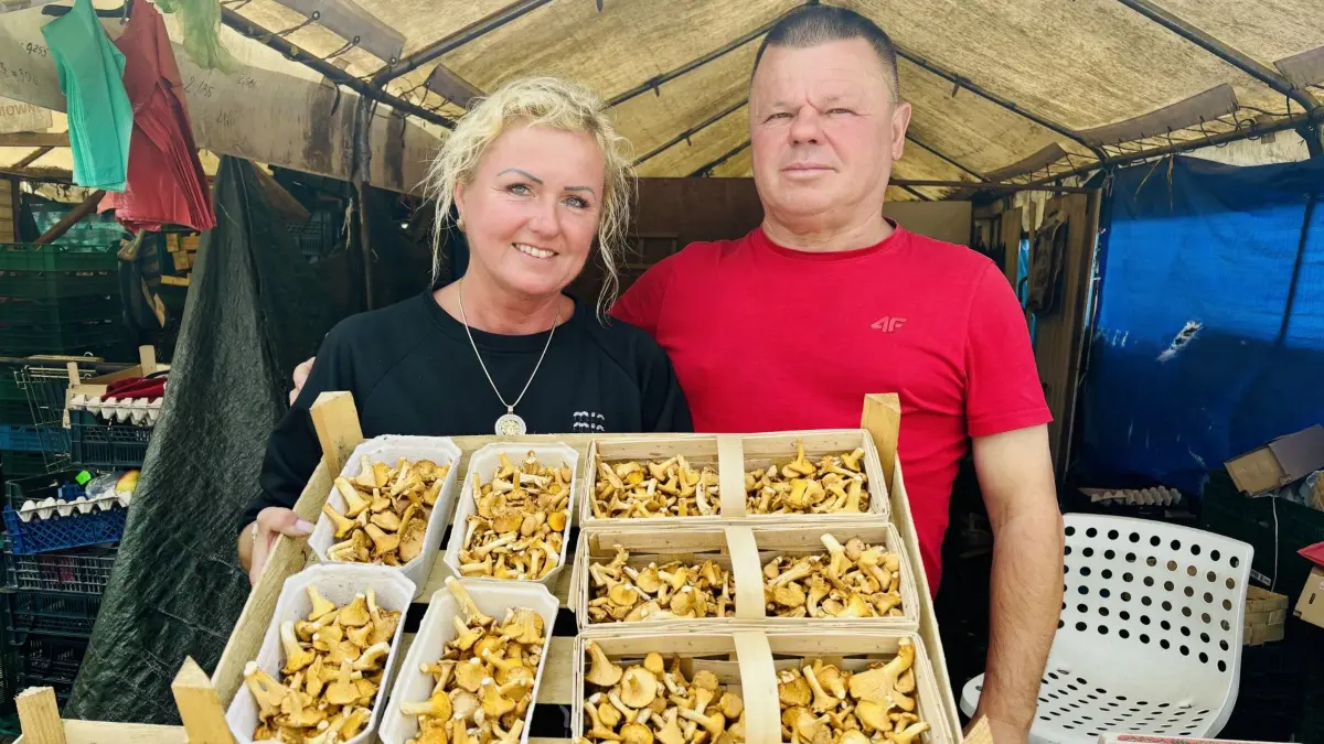 Auf dem kleinen Markt in Slubice ist die Pfifferlingssaison gestartet.
