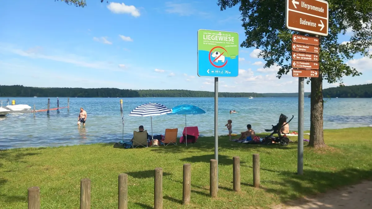 Ruhe vor dem Sturm: Vor 10 Uhr hat man auch am Wochenende meistens noch viel Platz am Werbellinsee in Altenhof.