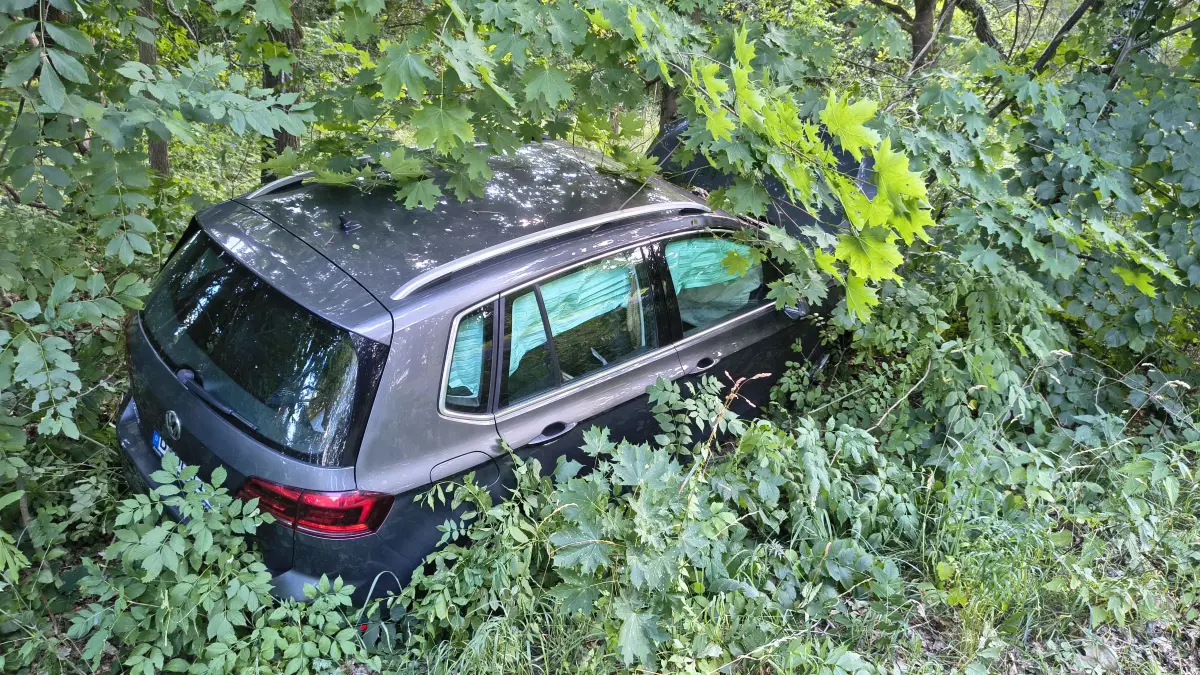 Ein VW Passat mit Berliner Kennzeichen steht am 13.7.2026 an der Landesstraße 31 zwischen Zerpenschleuse und Ruhlsdorf im Gebüsch nach einem Baumunfall.