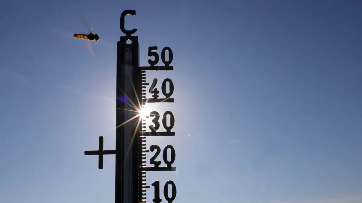 Heißester Juni in Westeuropa: ARCHIV - 21.06.2026, Baden-Württemberg, Riedlingen: Die Sonne scheint hinter einem Thermometer, an dem eine Schwebefliege vorbeifliegt. Auch Deutschland war von der Hitzewelle im Juni betroffen. (zu dpa: «DWD: Hitzewelle im Juni setzte neue Maßstäbe») Foto: Thomas Warnack/dpa +++ dpa-Bildfunk +++