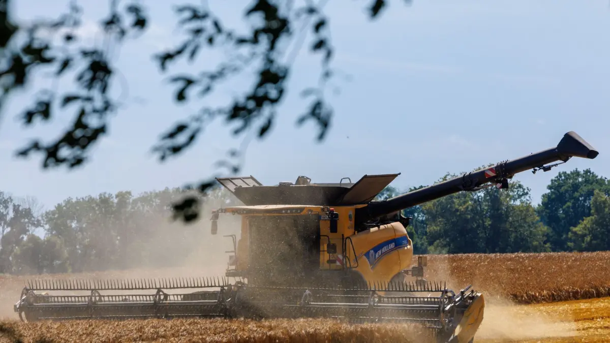 Getreideernte beginnt im Norden: PRODUKTION - 08.07.2026, Mecklenburg-Vorpommern, Dalberg: Ein Mähdrescher fährt bei der Ernte von Gerste über einen Getreideacker. Nach den viele Regentage und dadurch aufgeweichten Böden und zu feuchtem Erntegut startet die Getreideernte nun auch in Norddeutschland. Von den 1,1 Millionen Hektar Ackerfläche entfallen laut Bauernverband rund 139.800 Hektar auf Gerste. (zu dpa: «Bauernverband: Ernte stimmt, Rechnung nicht») Foto: Jens Büttner/dpa +++ dpa-Bildfunk +++
