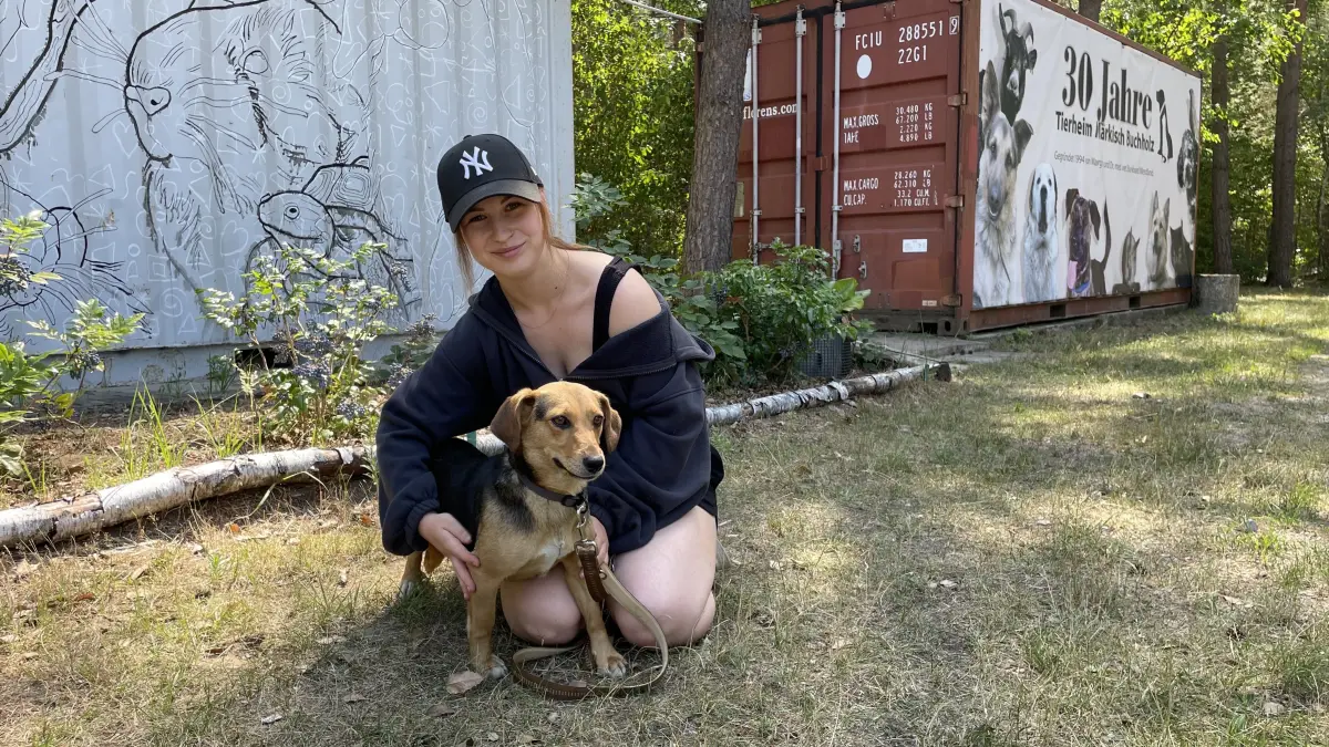 Die kleine, verloren gegangene Mischlingshündin Lotti findet nicht nur bei Tierpflegerin Kelis Reichenbach Trost. Im Tierheim Märkisch Buchholz lieben alle Tierpfleger die süße Mischlingshündin.