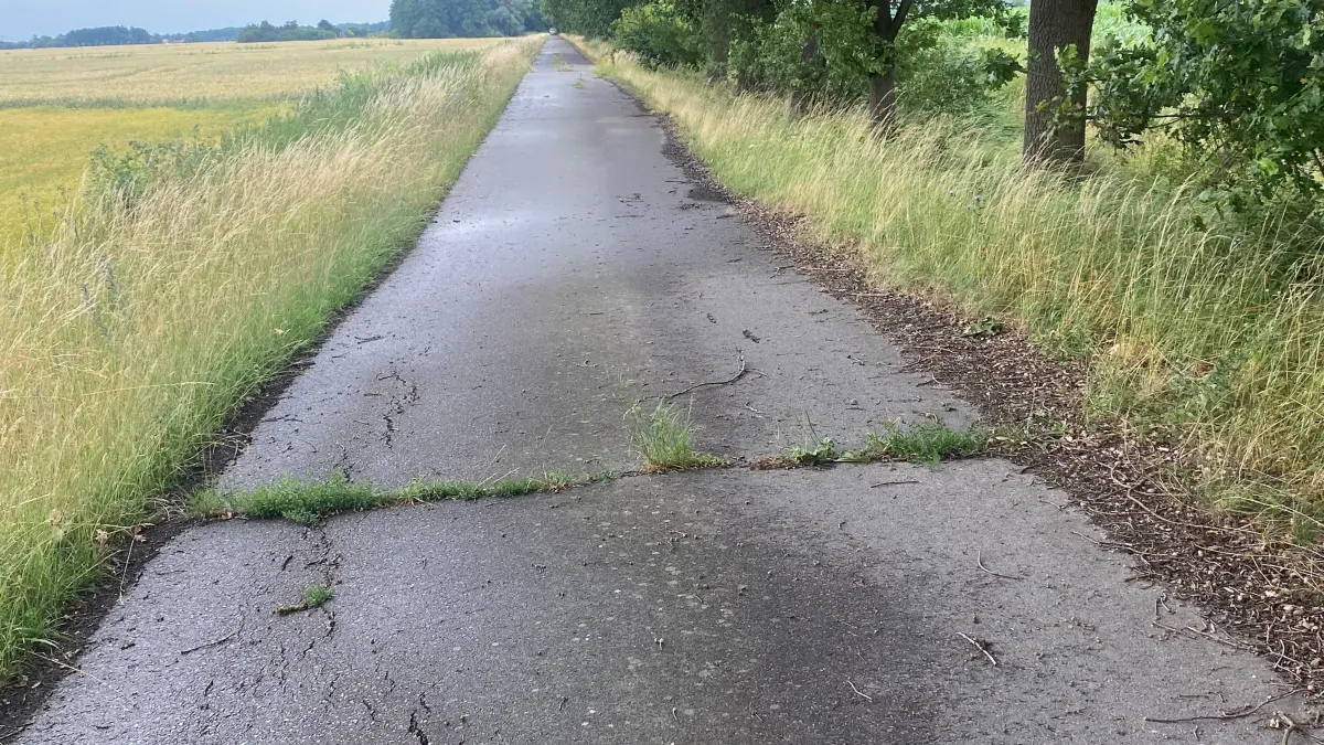 Schäden an der Straße zur Diplomatentreppe in Reitwein