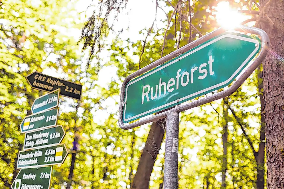 Mitten im Schlaubetal bietet der RuheForst eine naturnahe Alternative zum klassischen Friedhof – eingebettet in eine der schönsten Waldlandschaften Brandenburgs.