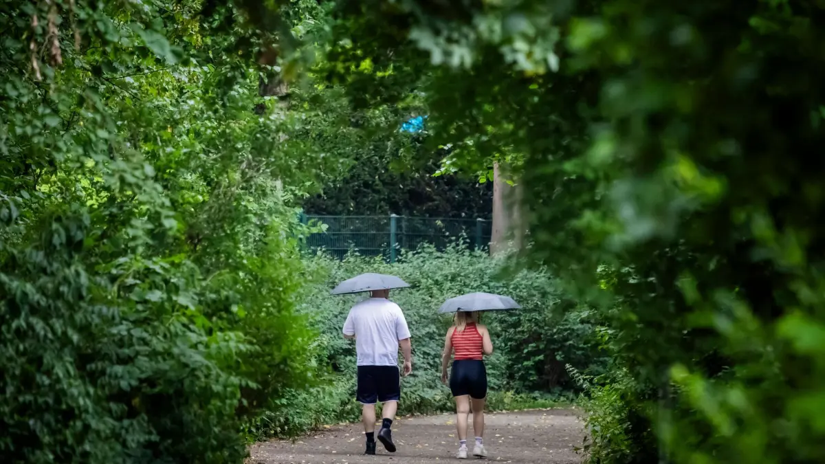 Wetter in Berlin: 17.07.2026, Berlin: Spaziergänger gehen mit Regenschirmen am Schlachtensee spazieren. Foto: Christoph Soeder/dpa +++ dpa-Bildfunk +++