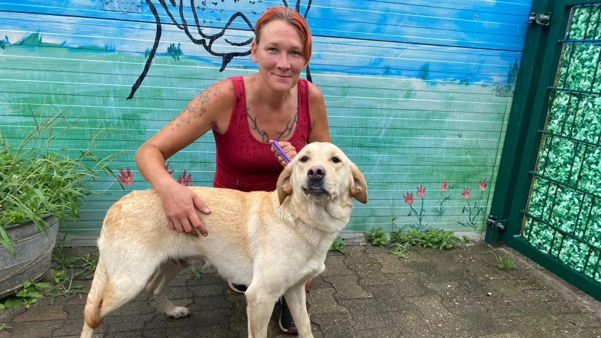 Ist sehr zugänglich: der zweijährige Labrador-Hund Vanilla in Alinas Tierheim an der Oderlandstraße. Mitarbeiterin Kathleen Bonack hält die Hündin gerade fest.