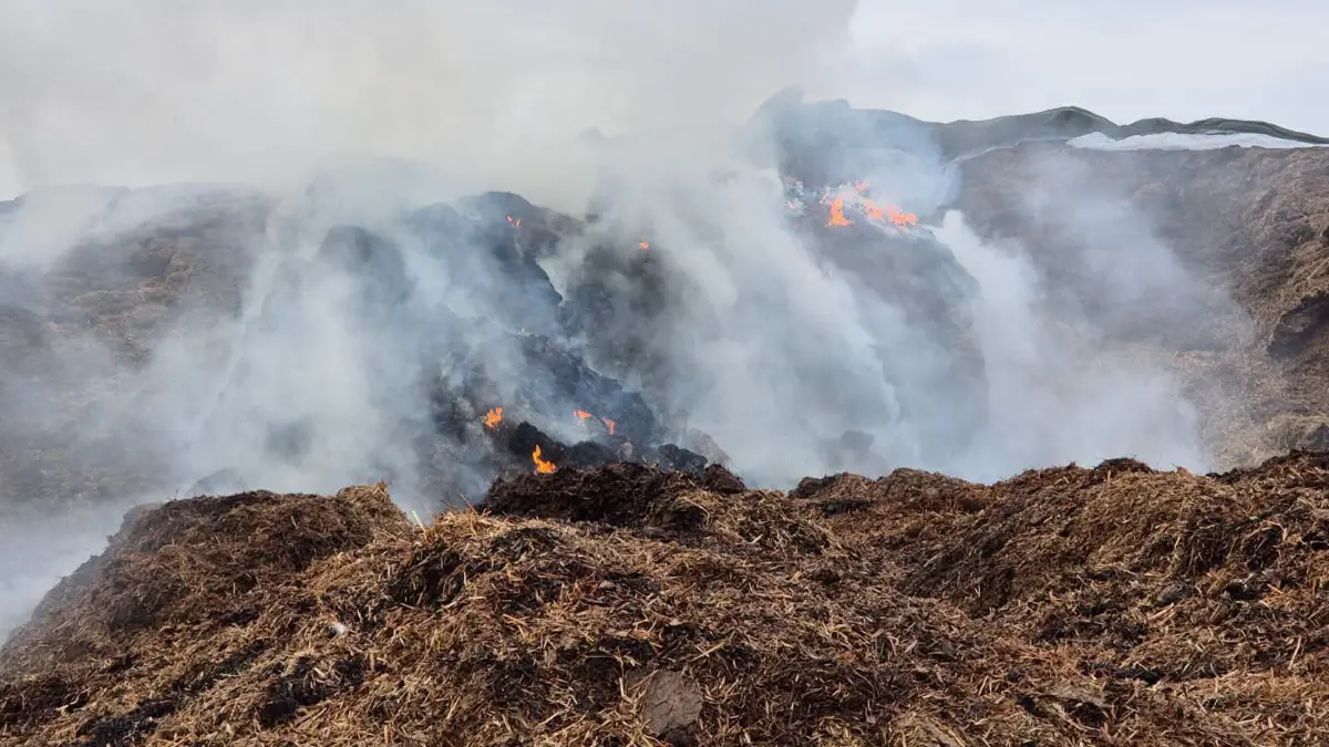 Noch am Sonntag (19. Mai) qualmte es trotz des Einsatzes am Vortag zwischen Neuhardenberg und Platkow noch gewaltig, sodass die Feuerwehr erneut ausrücken musste.