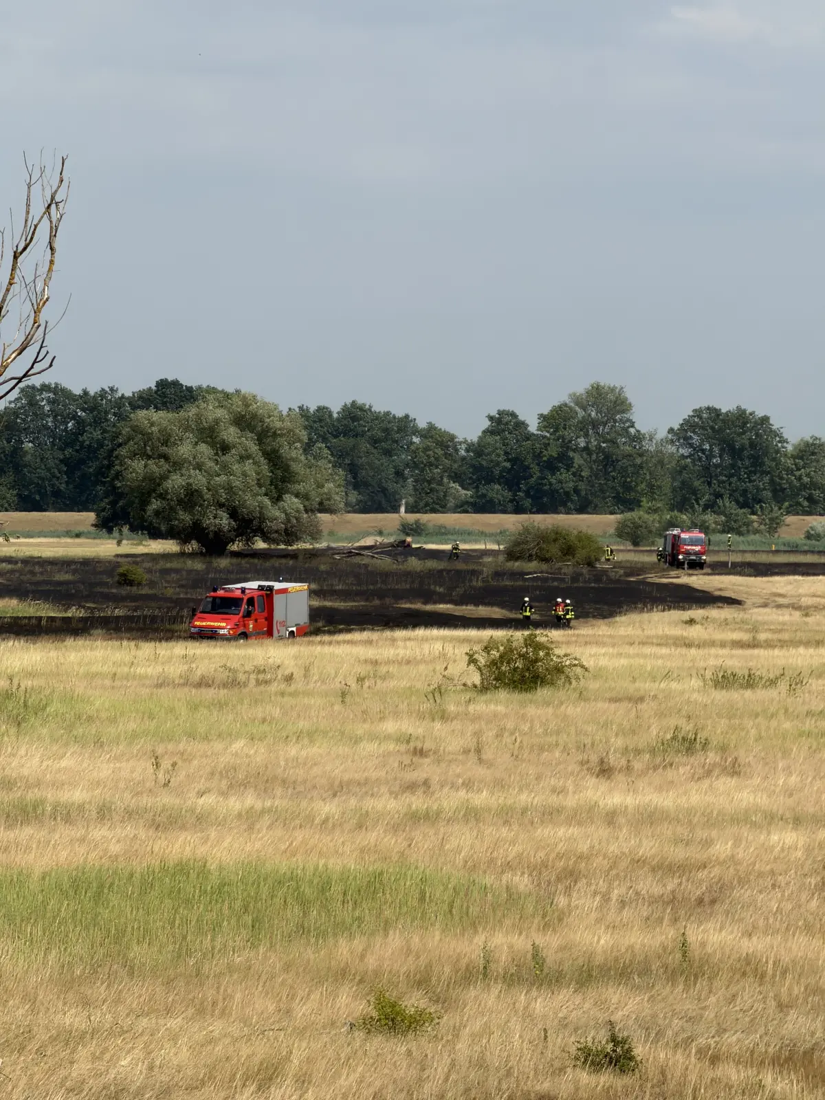 Etwa 3000 Quadratmeter Wiese in Reitwein gerieten durch den Funkenflug in Brand. Die Feuerwehr benötigte etwa anderthalb Stunden für die Löscharbeiten.