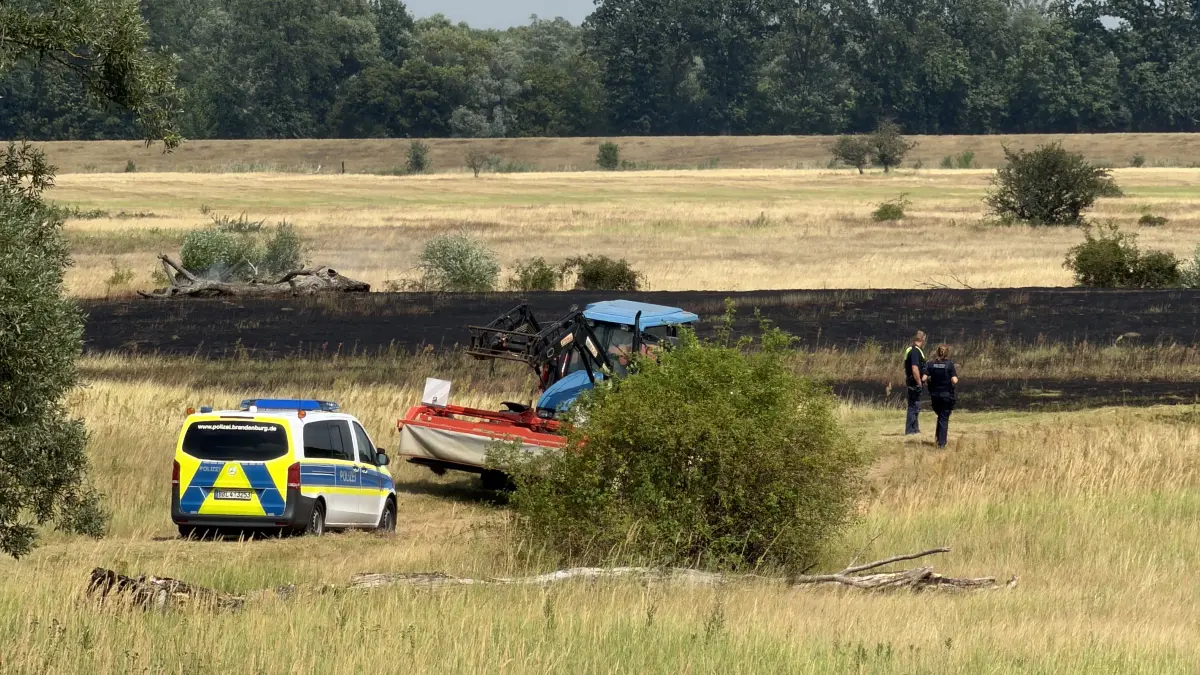 Wiesenbrand in Reitwein