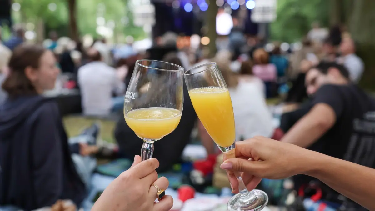Vor dem Start der Bayreuther Festspiele - Open-Air im Park: ARCHIV - 24.07.2024, Bayern, Bayreuth: Besucher prosten sich mit zwei Gläsern beim Festspiel-Open-Air im Park vor dem Start der Bayreuther Festspiele 2024 am Festspielhaus zu. (zu dpa: «Hotspot der «New York Times»: Was gibt's dort außer Wagner?») Foto: Daniel Löb/dpa +++ dpa-Bildfunk +++