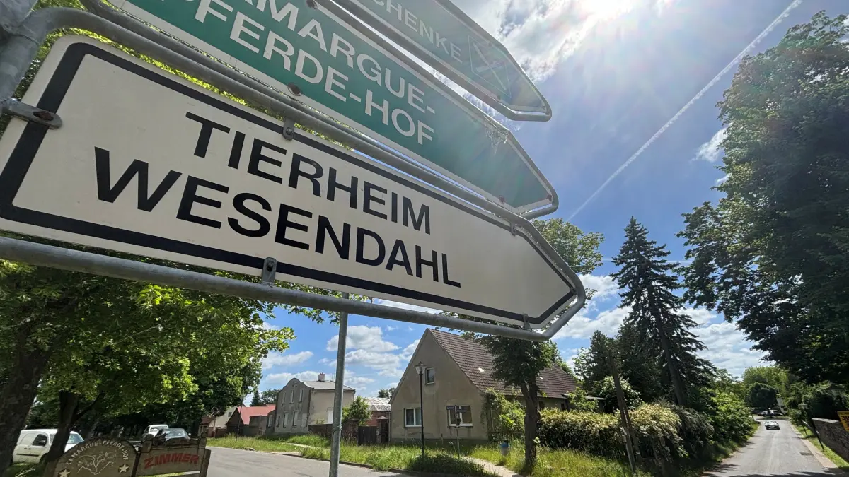 Wegweiser zum Tierheim Wesendahl, das sich im gleichnamigen Ortsteil von Altlandsberg befindet: Ein dorthin verbrachter Hund aus einem illegalen Transport überlebte nicht. Was sagt der Obduktionsbericht?