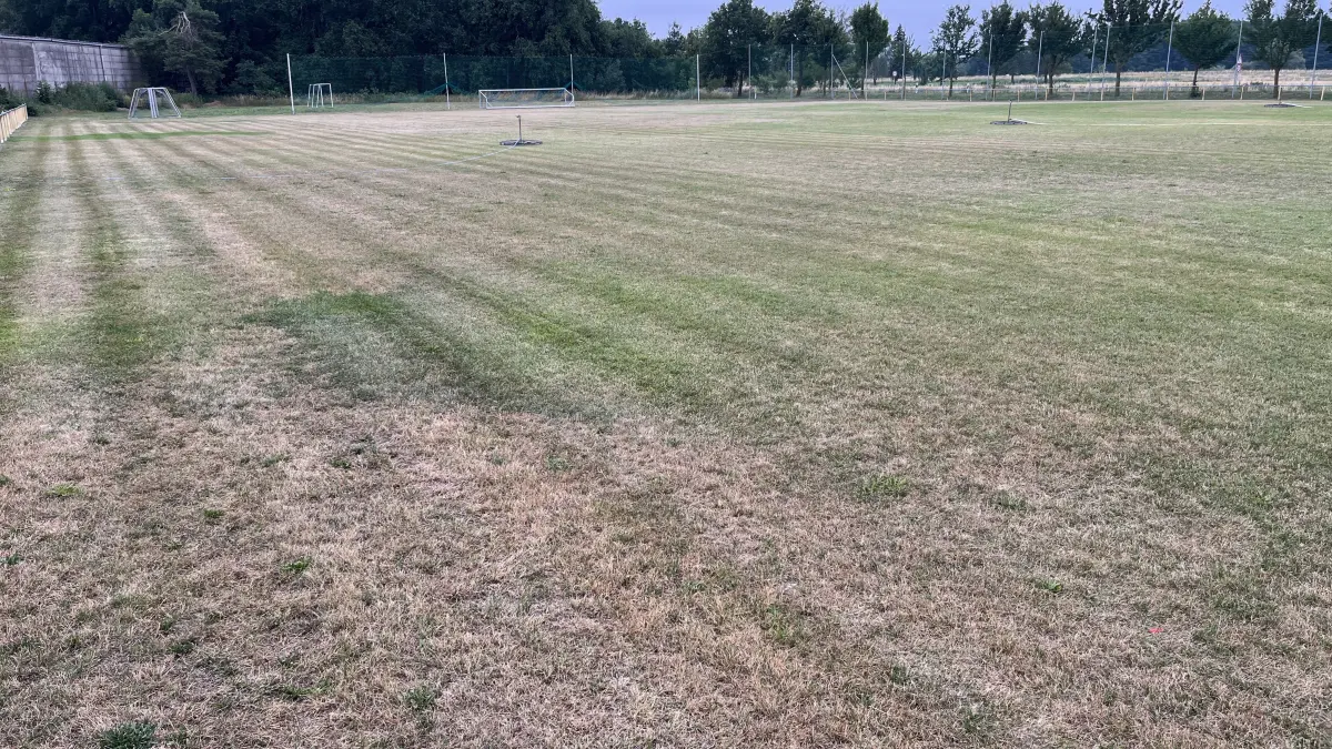 Verdorrter Rasen: Seit zwei Jahren kann während der Sommermonate auf dem Sportplatz in Coschen nicht gespielt werden. Dabei ist der Grenzfluss Neiße nur wenige Meter davon entfernt.