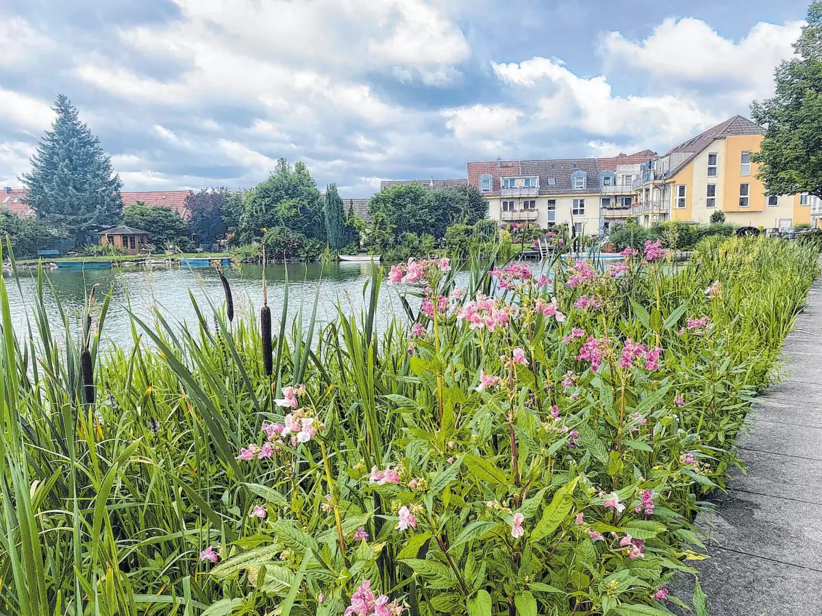 Direkt an der Seepromenade in Müllrose gelegen, bietet der zweite Standort von Geller Bestattungen mit Blick auf den Großen Müllroser See eine ruhige und tröstende Atmosphäre.