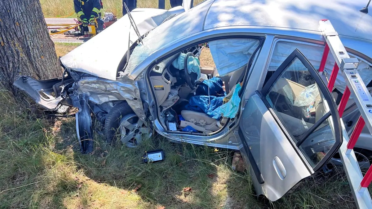 Unfall auf der B5 bei Falkenhagen: Der Aufprall gegen den Straßenbaum zerstörte den Kia vollständig. Die eingeklemmte Fahrerin musste von der Feuerwehr befreit werden.