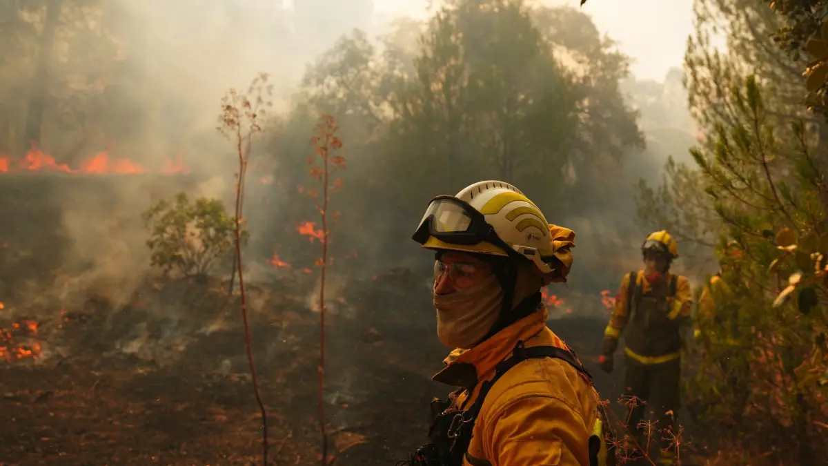 Brände in Spanien: 26.07.2026, Spanien, San Martín de Valdeiglesias: Feuerwehrleute bekämpfen einen Waldbrand. Spanien kämpft gegen zahlreiche Waldbrände. Wegen der schweren Feuer rief die Regierung für die Umgebung der Hauptstadt Madrid sowie für die Region Ávila den Notstand aus. Foto: Manu Fernandez/AP/dpa +++ dpa-Bildfunk +++