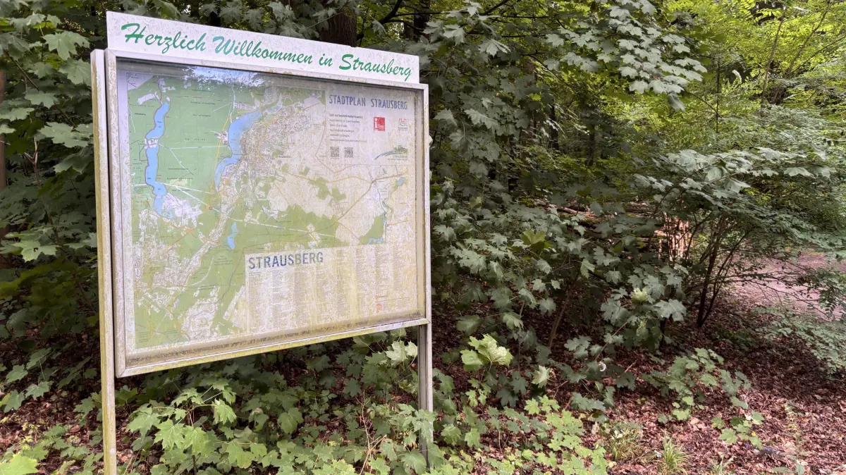 Strausberg wirkt auf den ersten Blick grün. Doch Satellitendaten zeigen, welche Flächen an heißen Tagen überraschend stark zum Wärmespeicher werden.