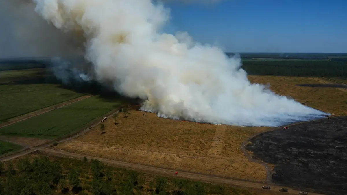 Waldbrände in Frankreich: 28.07.2026, Frankreich, Ares: Feuerwehrleute versuchen während der Waldbrände im Südwesten Frankreichs einen Brand in der Nähe von Ares einzudämmen. Foto: Baz Ratner/Pool AP/dpa +++ dpa-Bildfunk +++