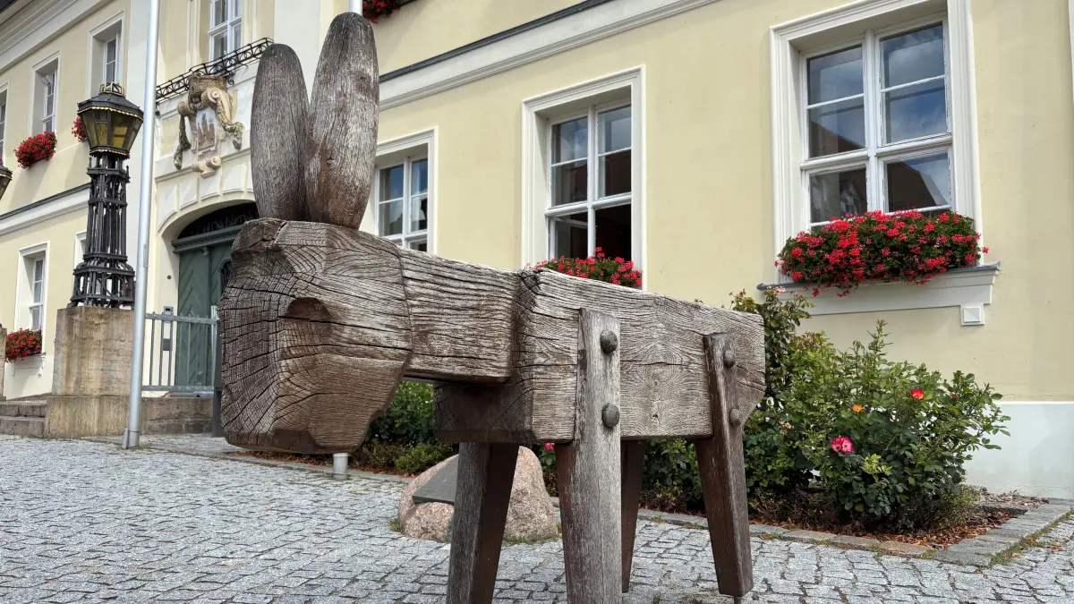 Der hölzerne Esel vor dem Rathaus Angermünde ist kein Goldesel, der Euros ausspuckt. Doch Angermünde kann sich dennoch auf einen Geldsegen freuen. Der Esel ist die Nachbildung des mittelalterlichen Prangeresels. Hier wurden einst Betrüger, Steuerschuldner und andere Delinquenten festgebunden und öffentlich dem Spott und der Häme der Bürger ausgesetzt.