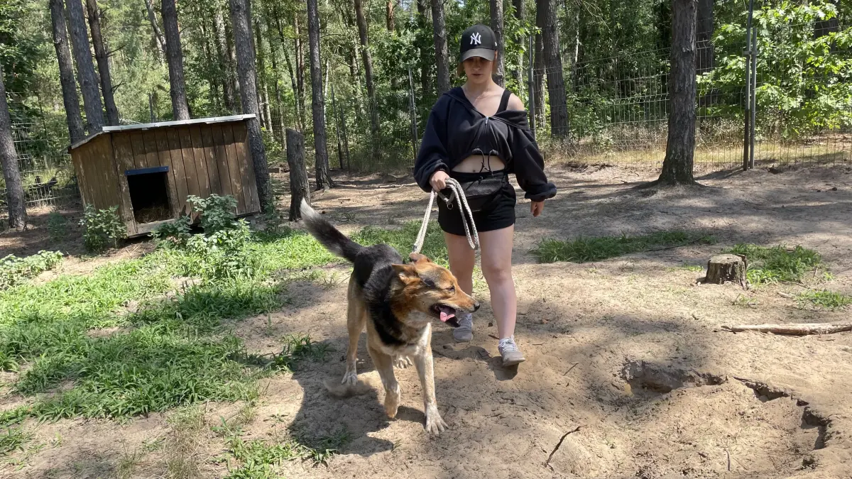 Auch wenn mit Schäferhund-Mischling Kurt definitiv noch am Grundgehorsam gearbeitet werden muss – an der Leine von Tierpflegerin Kelis Reichenbach im Tierheim Märkisch Buchholz läuft er schon relativ gut mit.
