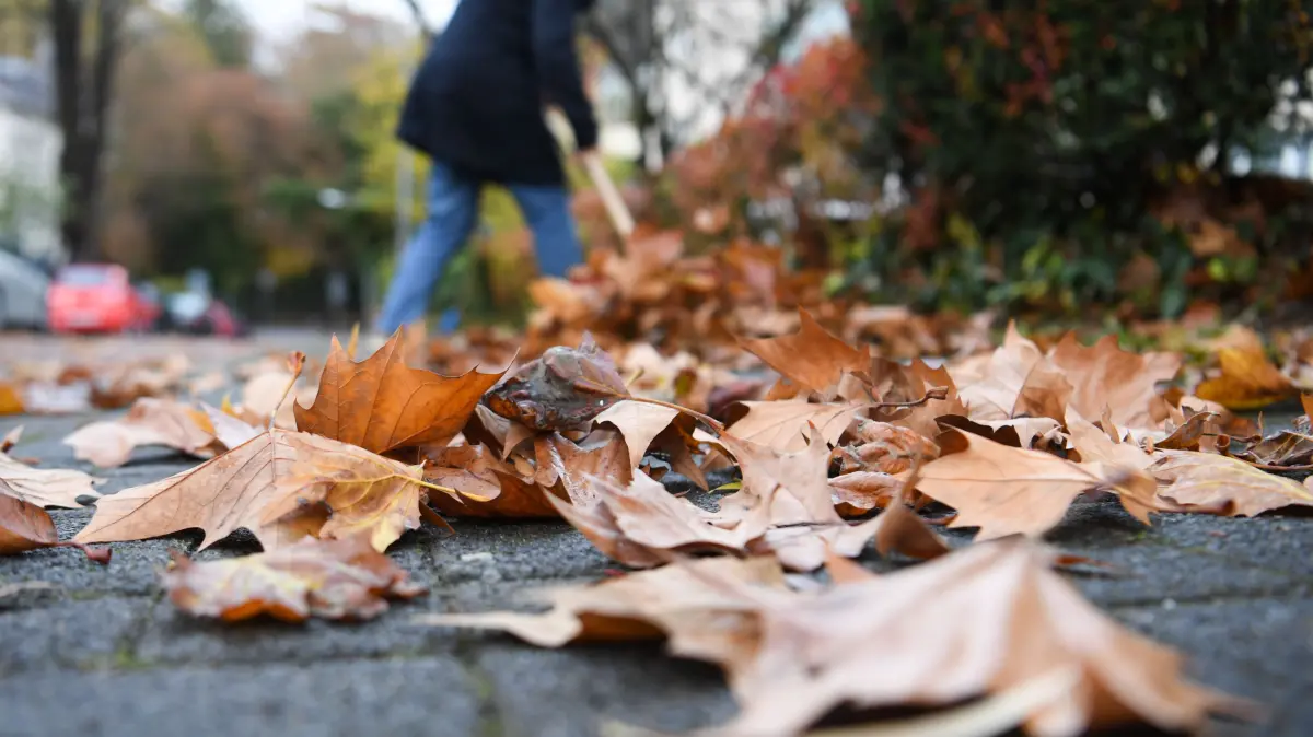 Eine Frau kehrt am 17.11.2016 auf einem Gehweg in Wiesbaden (Hessen) Laub zusammen. Die Bürgerinitiative «Gehwegreinigung in Bürgerhand» erstellt in Wiesbaden derzeit ein Konzept für eine neue Straßenreinigungssatzung. Mitte nächsten Jahres soll die Politik über die neue Satzung entscheiden, nachdem heftiger Widerstand der Bürger zuvor die städtischen Pläne für die Straßenreinigung gestoppt hatte. (zu dpa "Saubere Straßen: Wiesbadener Initiative erstellt neues Konzept" vom 20.11.2016) ++ +++ dpa-Bildfunk +++