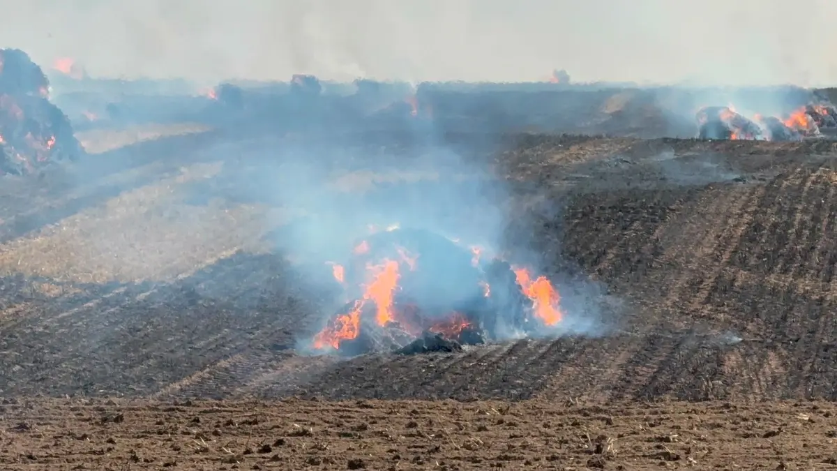 Ein großer Flächenbrand bei Rheinsberg beschäftigte über Stunden die Feuerwehr. Knapp 90 Hektar standen in Flammen.