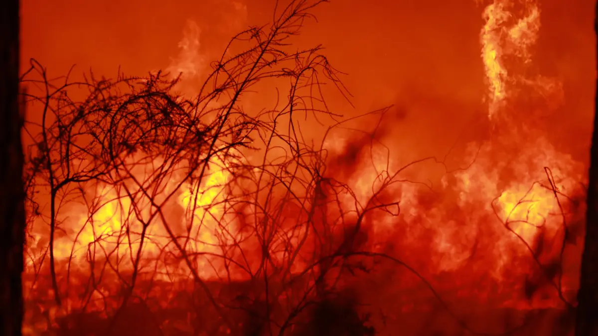 Firefighters continue battling wildfire in southwestern France: Firefighters continue battling wildfire in southwestern France LEGE-CAP-FERRET, FRANCE - JULY 29: Flames spread through the Grand Crohot forest during a controlled burn carried out near Lege-Cap-Ferret, southwestern France, on July 29, 2026. The operation was conducted as part of wildfire prevention measures following recent blazes in the region. Mohamad Salaheldin Abdelghani Alsayed / Anadolu Lege-Cap-Ferret France. Editorial use only. Please get in touch for any other usage. PUBLICATIONxNOTxINxTURxUSAxCANxUKxJPNxITAxFRAxAUSxESPxBELxKORxRSAxHKGxNZL Copyright: x2026xAnadoluxMohamadxSalaheldinxAbdelghanixAlsayedx
