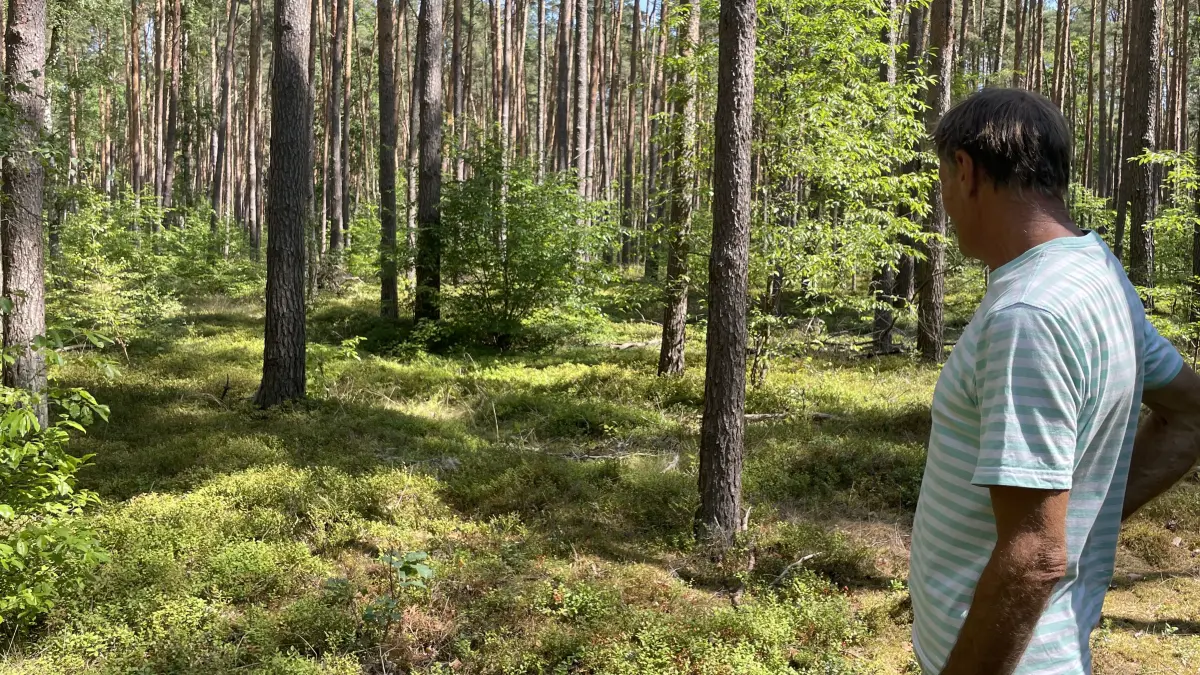 Aus dem Wald bei Fürstenwalde soll ein Industriegebiet entstehen. Der Extrembotaniker Jürgen Feder hat dort viele Pflanzen und Tiere entdeckt, die vom Aussterben bedroht sind.