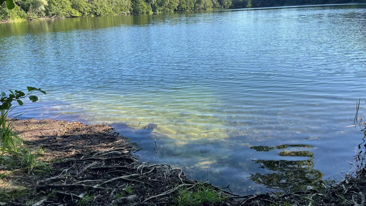 Glasklares Wasser in Bestensee bei Königs Wusterhausen: FKK ist hier Pflicht.