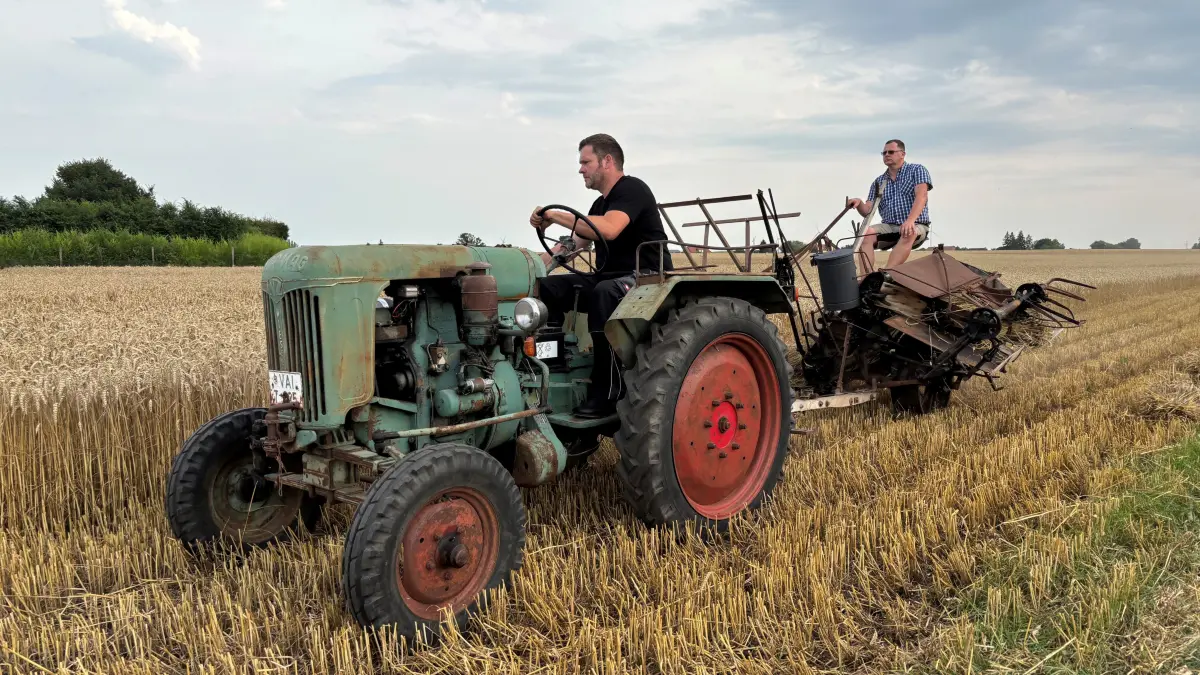 Zeitsprung in die Vergangenheit: In Frauenhagen bei Angermünde wird ein Getreideacker traditionell wie vor 100 Jahren geerntet. Einziger technischer Fortschritt sind ein Trecker und ein Mähbinder, die zum Einsatz kommen. Alles andere ist Handarbeit.