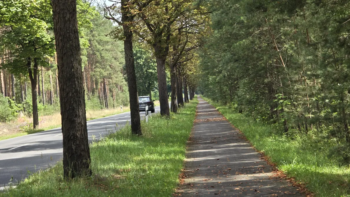 Der Hofjagdweg, ein Radweg von Königs Wusterhausen nach Lübben, führt durch bezaubernde Natur.