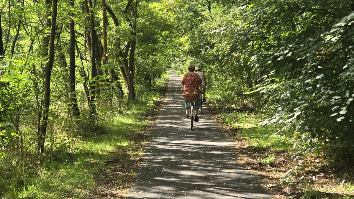 Der Hofjagdweg, ein Radweg von Königs Wusterhausen nach Lübben, führt durch bezaubernde Natur.