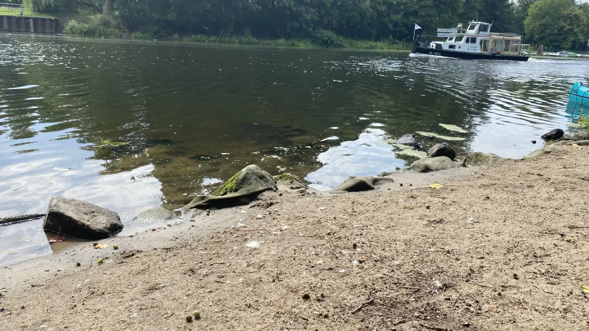 Sieht immer noch nach Badestrand aus, ist aber keiner: das Spreeufer nahe dem Niederlagetor in Fürstenwalde.