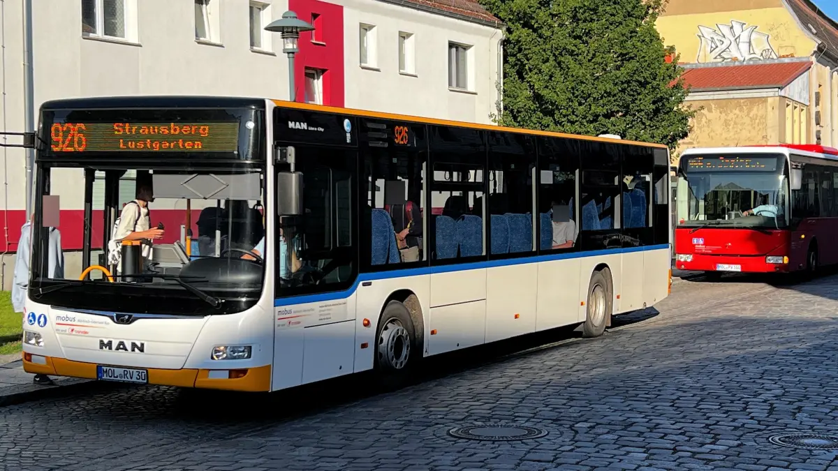 Zwei Busse an einer Haltestelle in Müncheberg. Ab 2027 soll ein anderer Betreiber den Busverkehr in den Bereichen Seelow und Strausberg übernehmen.