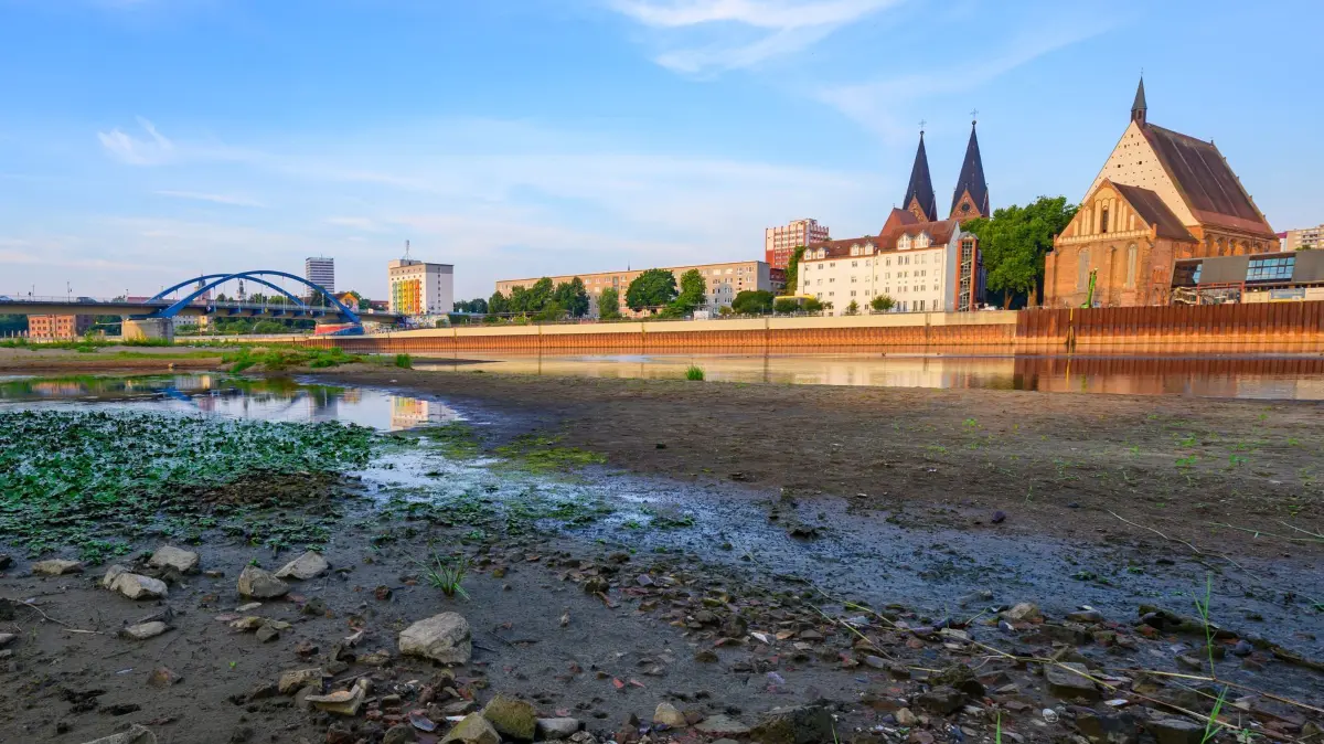 Niedrigwasser am deutsch-polnischen Grenzfluss Oder: 04.08.2026, Polen, Slubice: Blick vom polnischen Ufer auf das Niedrigwasser des Flusses Oder mit der Stadt Frankfurt (Oder) im Hintergrund. Am Morgen lag der Pegel des Grenzflusses in Frankfurt (Oder) bei nur noch 92 Zentimetern. (zu dpa: «Experte: Niedrigwasser und Hitze führt zu Stress für Fische») Foto: Patrick Pleul/dpa +++ dpa-Bildfunk +++