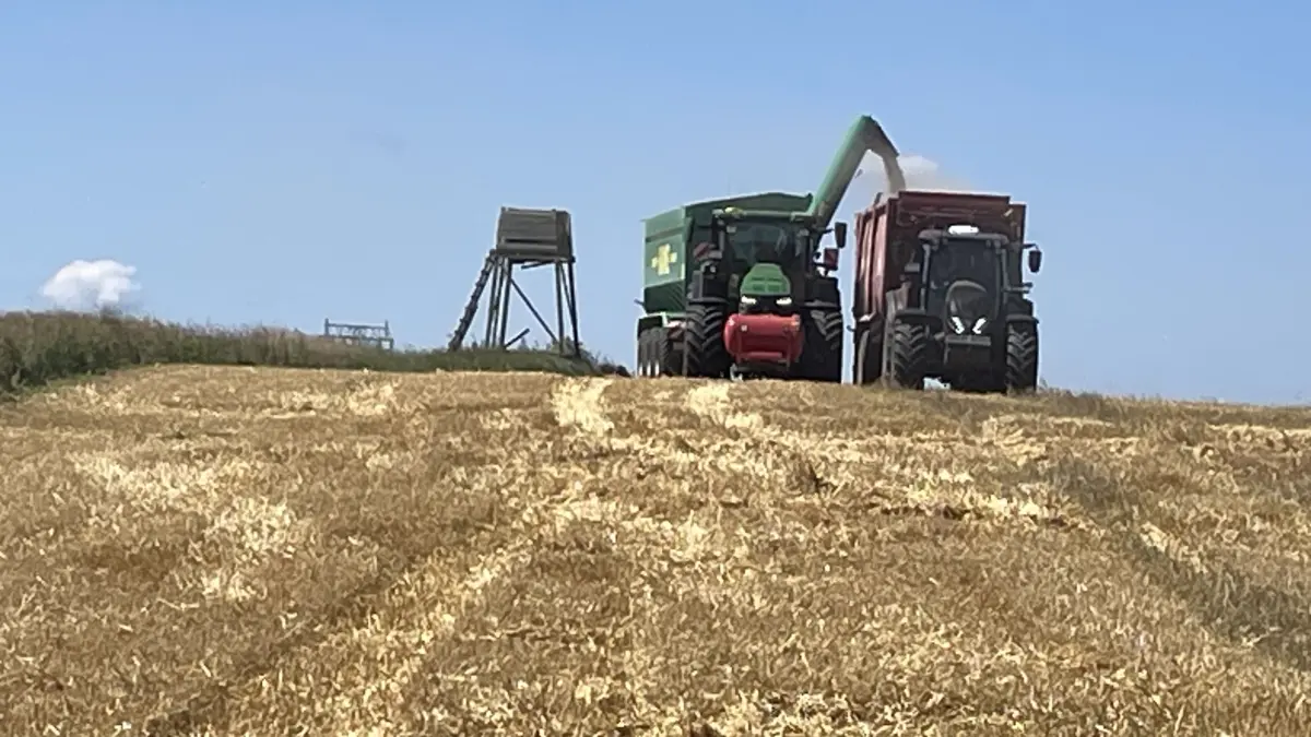 Ernte 2026 in der Uckermark: Wie wirken sich die Witterungsbedingungen auf Erträge aus, und vor welchen Herausforderungen stehen landwirtschaftliche Betriebe in der Region?
