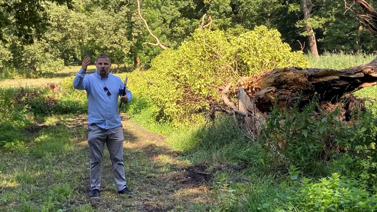 Große Verluste: Michal Gajkowski und seine Kollegen haben den Lenné-Park in Baruth (Teltow-Fläming) untersucht und etliche Problemzonen identifiziert.