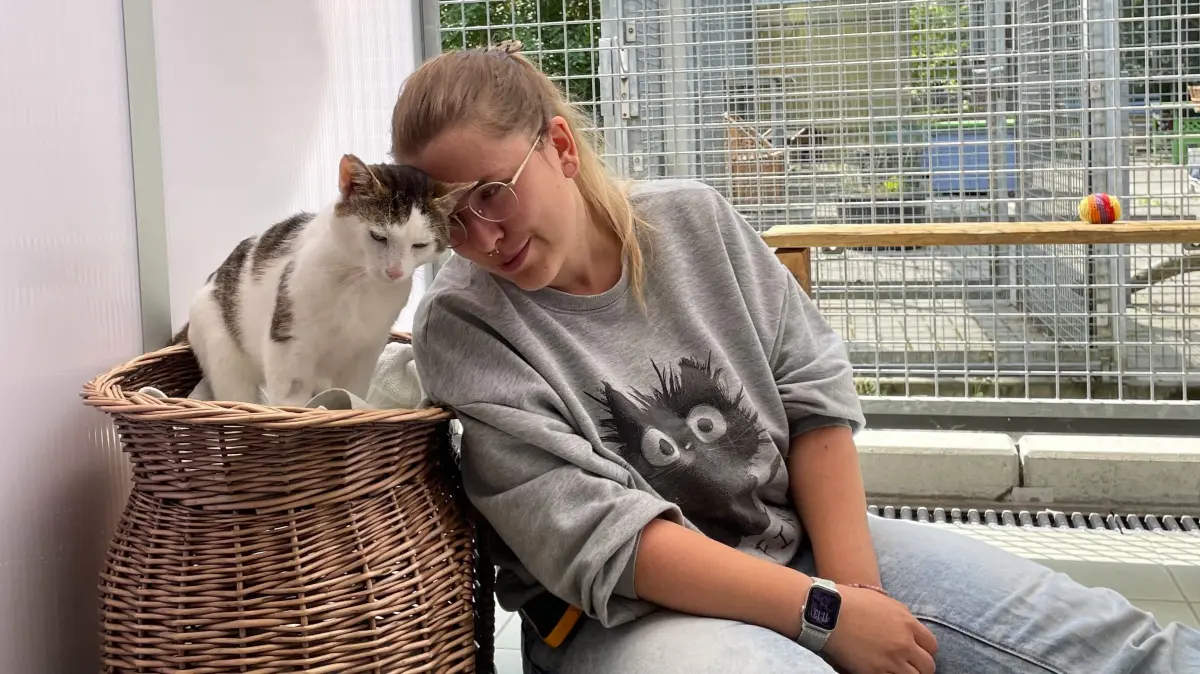 Menschen gegenüber wird Kater Casimir zum Kuschelkater. Wenn die stellvertretende Tierheimleiterin in Märkisch Buchholz, Denise Möbius, dann auch noch Leckerlis dabei hat, ist er glücklich.